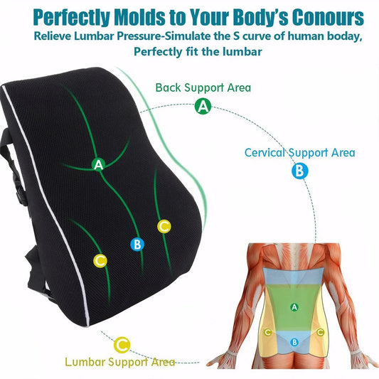 Back support cushion with labeled areas and anatomical diagram
