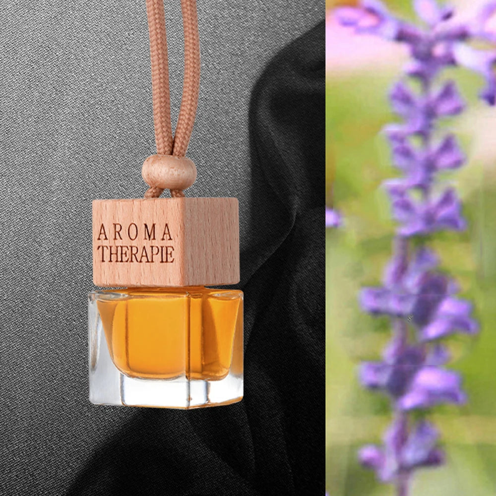 Car Fragrance Pendant Perfume Oil Diffuser Air Freshener - Autoxmatch