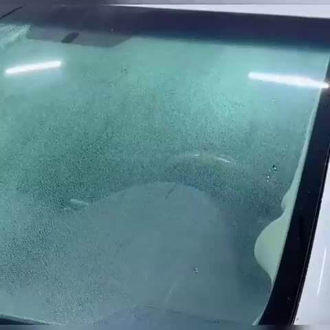 Car Glass Cleaner with Built-In Applicator - Autoxmatch